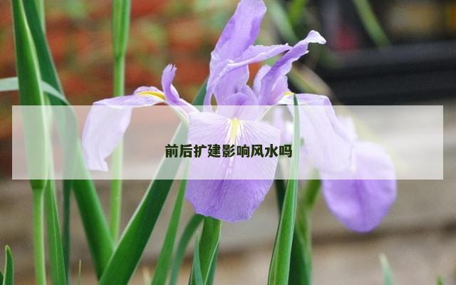 前后扩建影响风水吗