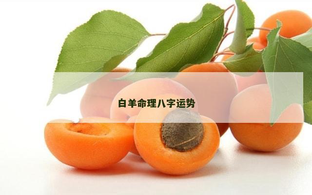 白羊命理八字运势