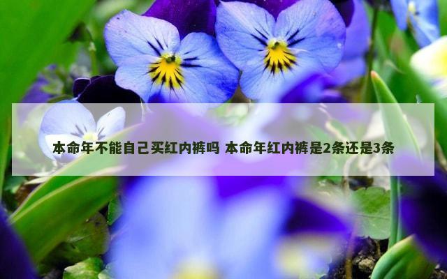 本命年不能自己买红内裤吗 本命年红内裤是2条还是3条