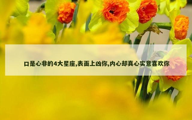 口是心非的4大星座,表面上凶你,内心却真心实意喜欢你
