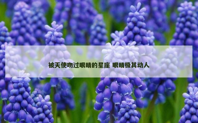 被天使吻过眼睛的星座 眼睛极其动人