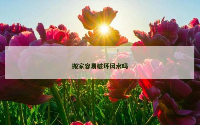 搬家容易破坏风水吗