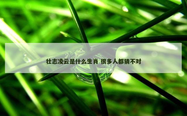 壮志凌云是什么生肖 很多人都猜不对