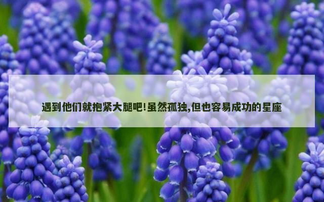 遇到他们就抱紧大腿吧!虽然孤独,但也容易成功的星座