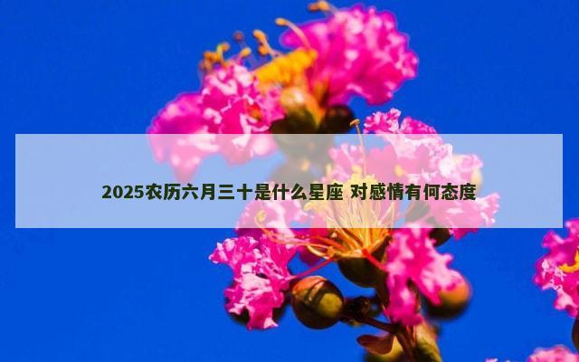 2025农历六月三十是什么星座 对感情有何态度