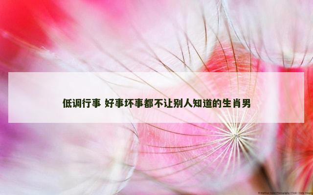 低调行事 好事坏事都不让别人知道的生肖男