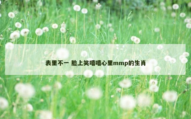 表里不一 脸上笑嘻嘻心里mmp的生肖