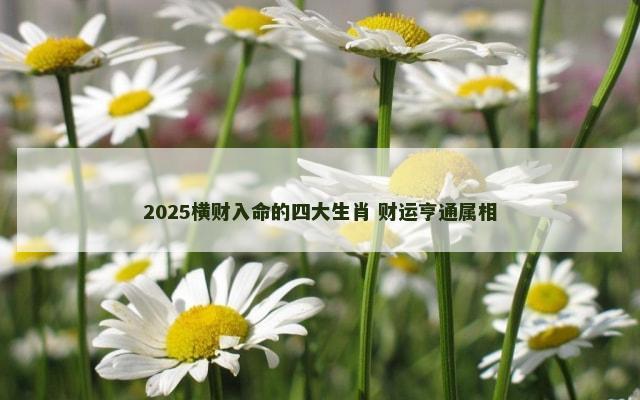 2025横财入命的四大生肖 财运亨通属相