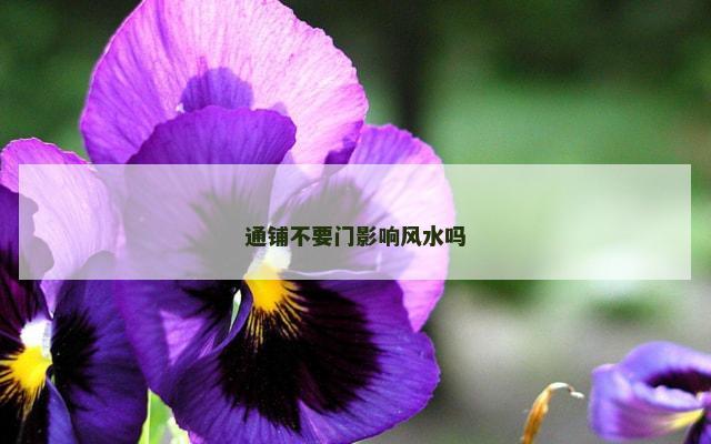 通铺不要门影响风水吗