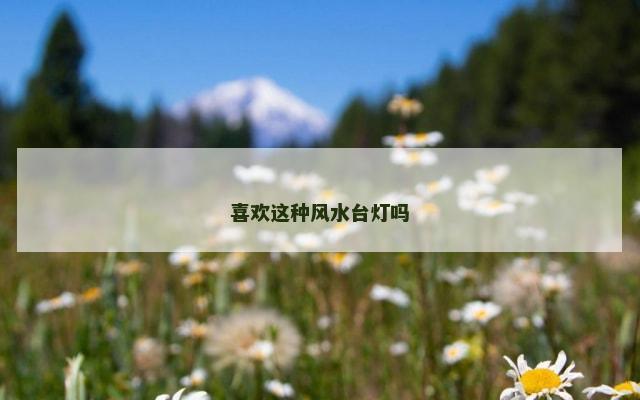 喜欢这种风水台灯吗