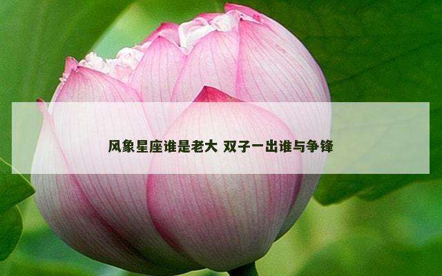 风象星座谁是老大 双子一出谁与争锋