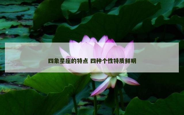 四象星座的特点 四种个性特质鲜明
