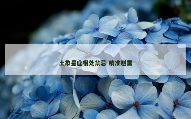 土象星座相处禁忌 精准避雷