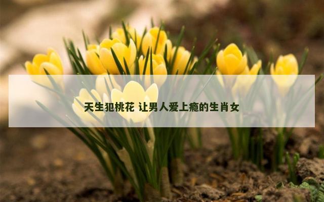 天生犯桃花 让男人爱上瘾的生肖女