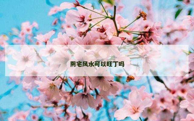 阴宅风水可以旺丁吗