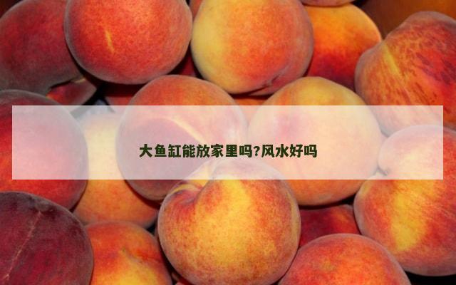 大鱼缸能放家里吗?风水好吗