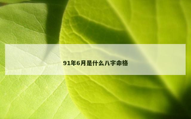 91年6月是什么八字命格