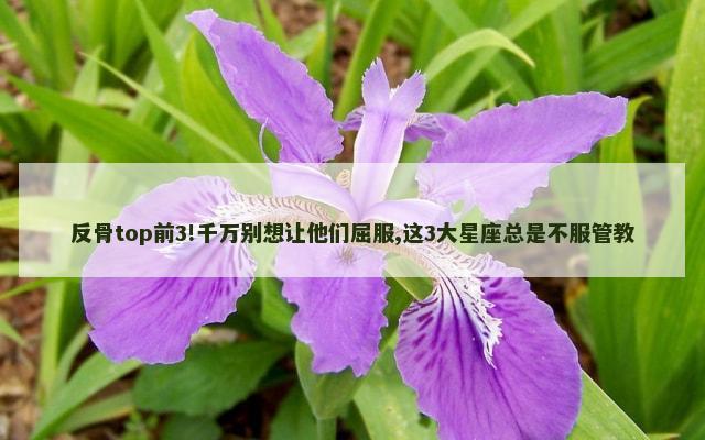 反骨top前3!千万别想让他们屈服,这3大星座总是不服管教