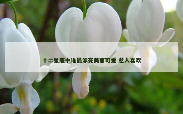 十二星座中谁最漂亮美丽可爱 惹人喜欢