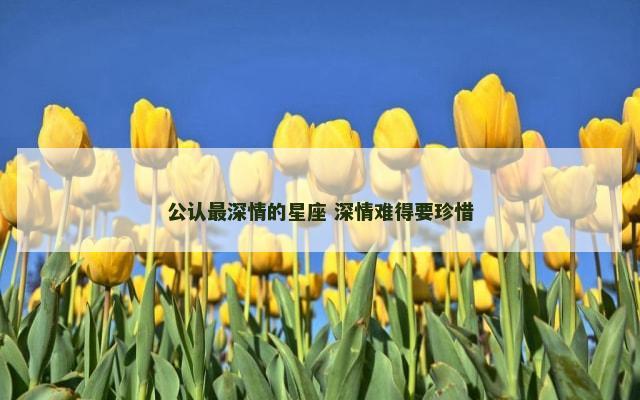 公认最深情的星座 深情难得要珍惜