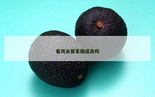 看风水算家族成员吗