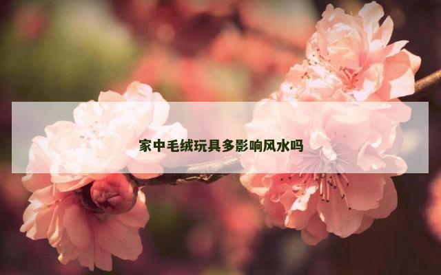 家中毛绒玩具多影响风水吗