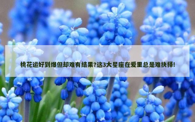 桃花运好到爆但却难有结果?这3大星座在爱里总是难抉择!