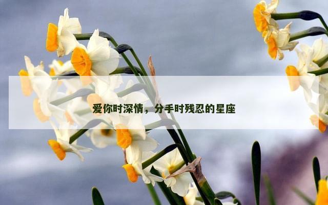 爱你时深情，分手时残忍的星座