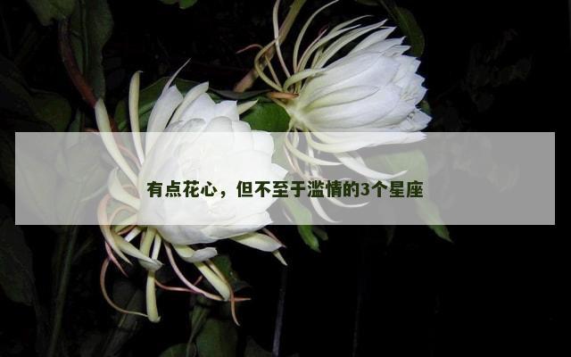 有点花心，但不至于滥情的3个星座