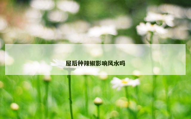 屋后种辣椒影响风水吗