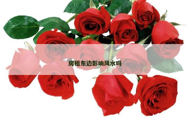 房租东边影响风水吗