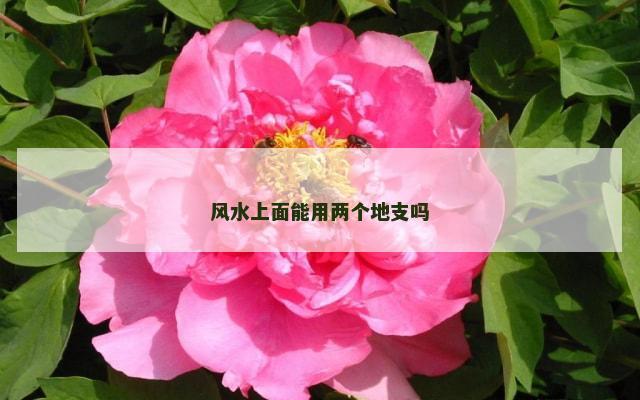 风水上面能用两个地支吗