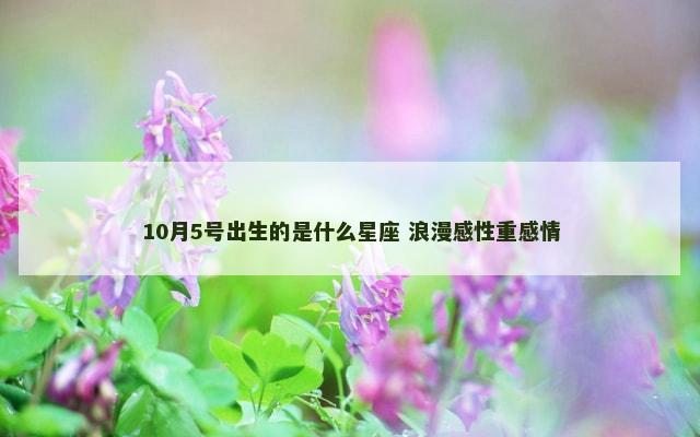 10月5号出生的是什么星座 浪漫感性重感情