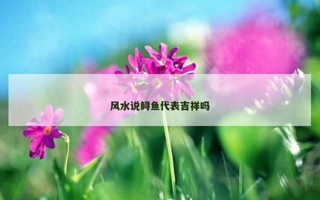 风水说鲟鱼代表吉祥吗