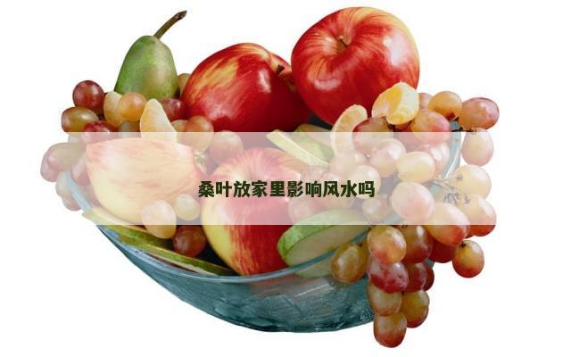 桑叶放家里影响风水吗
