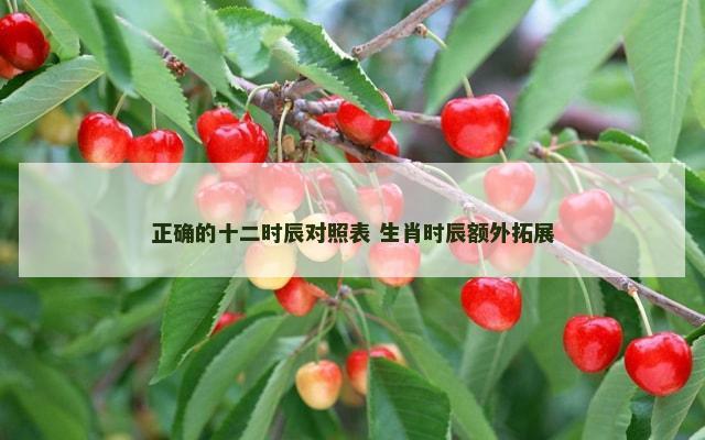 正确的十二时辰对照表 生肖时辰额外拓展
