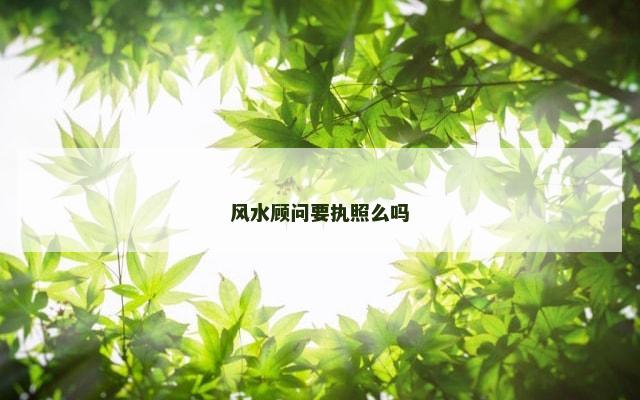 风水顾问要执照么吗