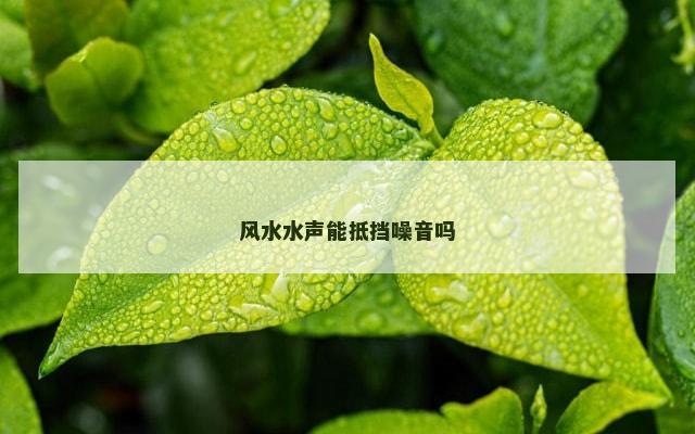 风水水声能抵挡噪音吗
