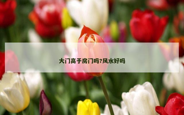 大门高于房门吗?风水好吗