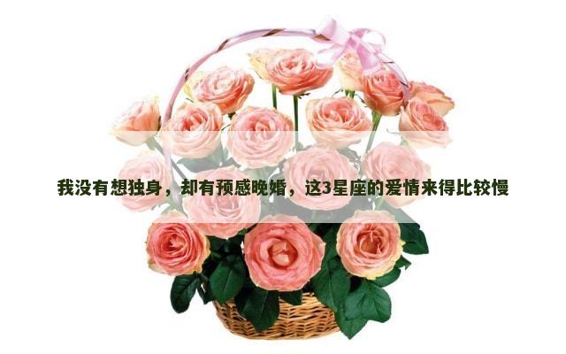 我没有想独身，却有预感晚婚，这3星座的爱情来得比较慢