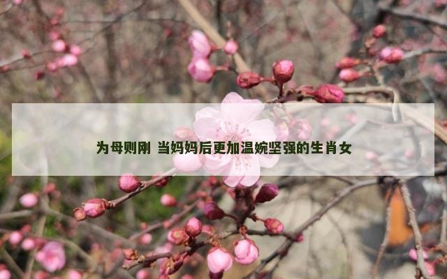为母则刚 当妈妈后更加温婉坚强的生肖女