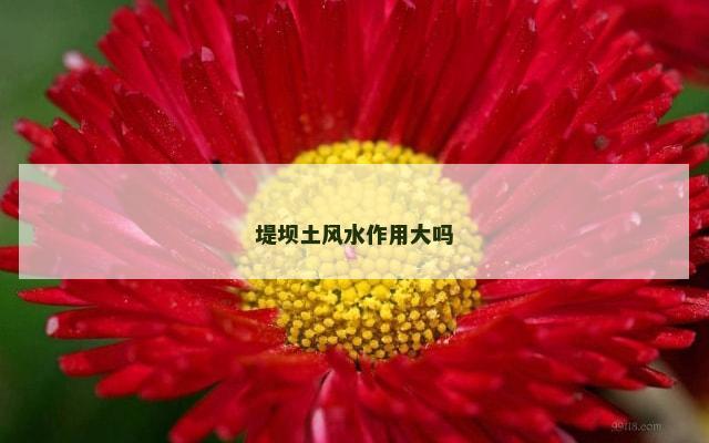 堤坝土风水作用大吗