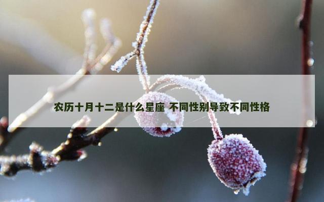 农历十月十二是什么星座 不同性别导致不同性格