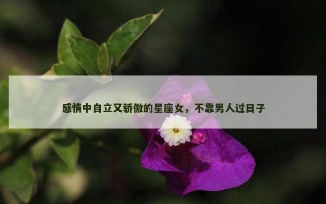 感情中自立又骄傲的星座女，不靠男人过日子