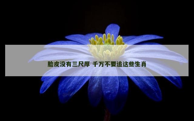 脸皮没有三尺厚 千万不要追这些生肖