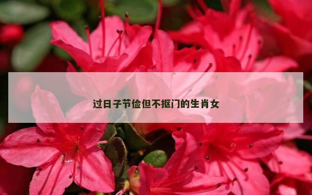 过日子节俭但不抠门的生肖女