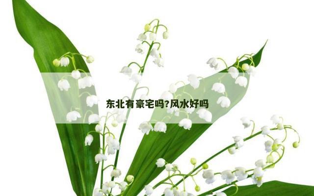 东北有豪宅吗?风水好吗
