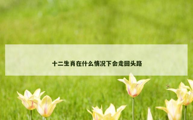 十二生肖在什么情况下会走回头路