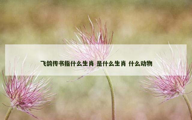 飞鸽传书指什么生肖 是什么生肖 什么动物