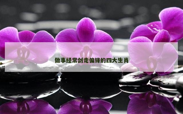 做事经常剑走偏锋的四大生肖